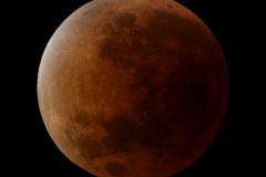 luna_rossa_2